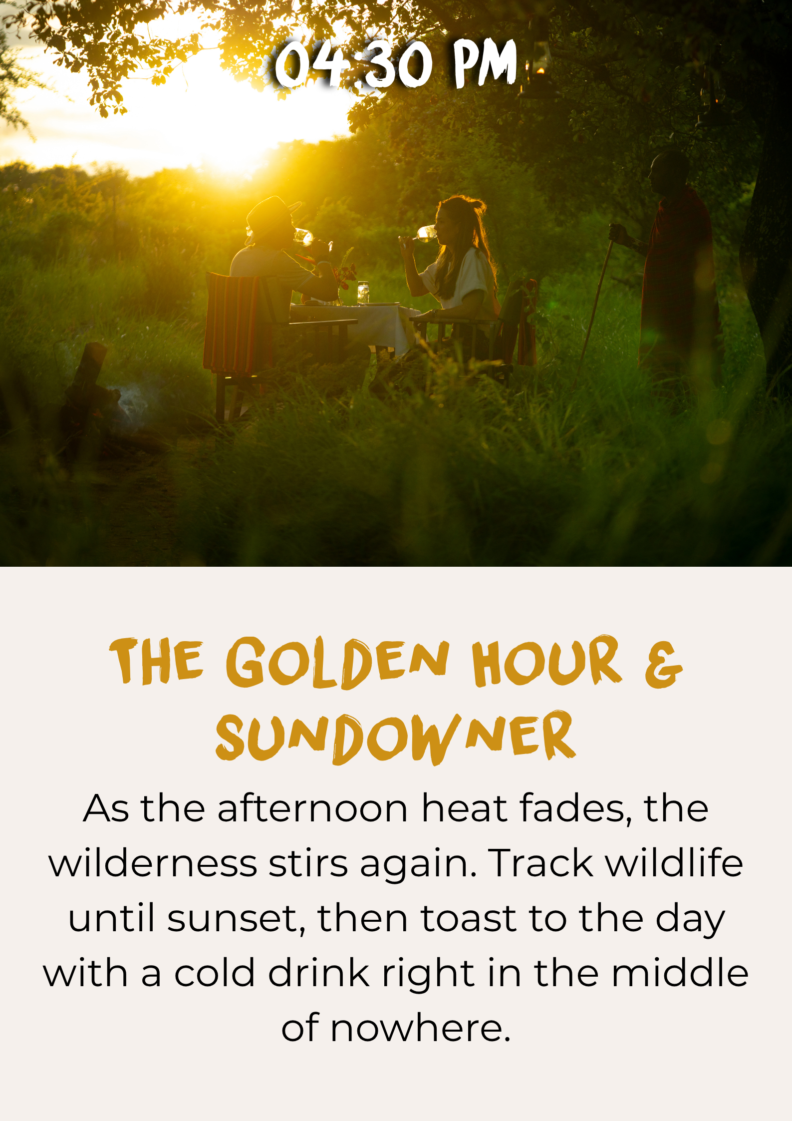 Golden-hour safari game drive followed by a sundowner Golden-hour safari game drive followed by a sundowner